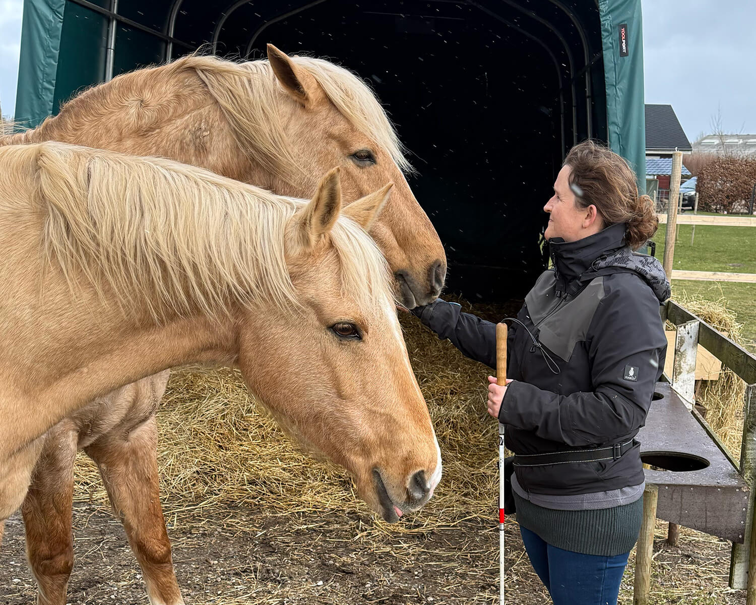 Ann-Sofie ved en hest