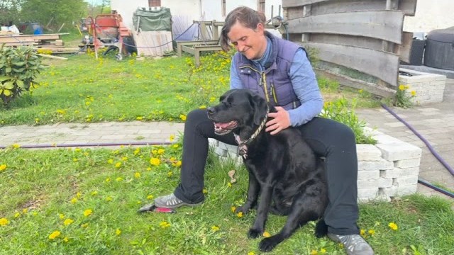 Thumbnail for video: Min hund vil ikke børstes – sådan tilvender jeg den uden pres